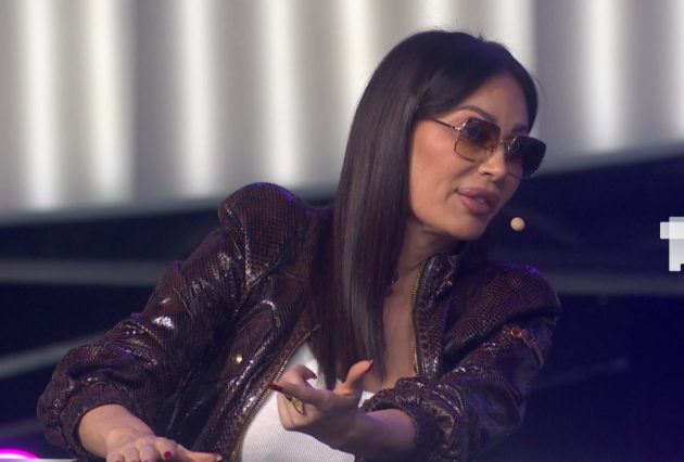 ceca raznatovic zg
