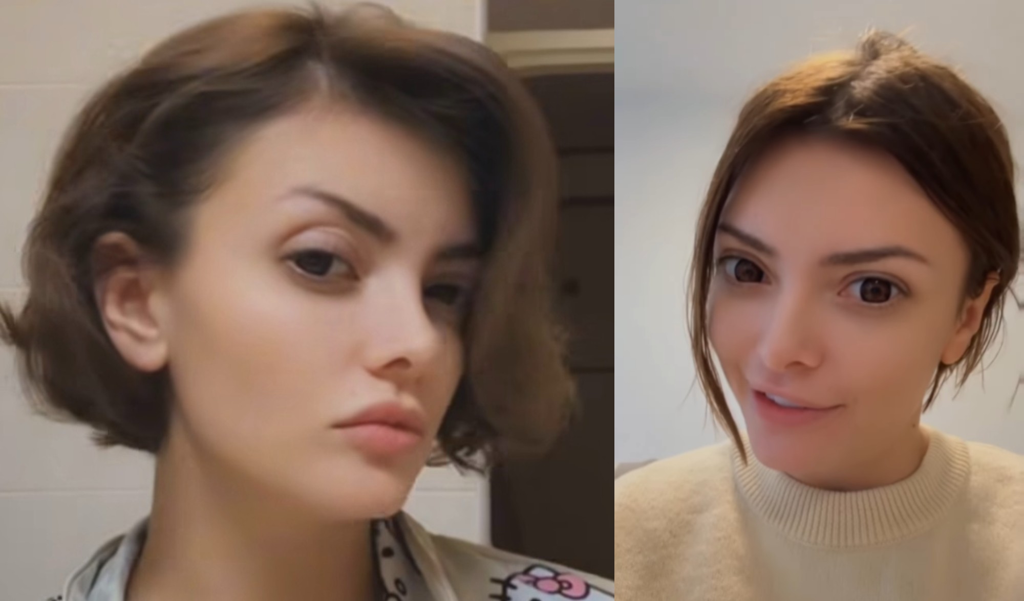 ela dvornik