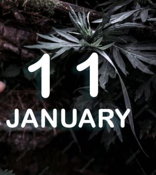 Ova četiri januarska dana donose novac i ljubav: Mogu otvoriti vrata velikih promena 7 11
