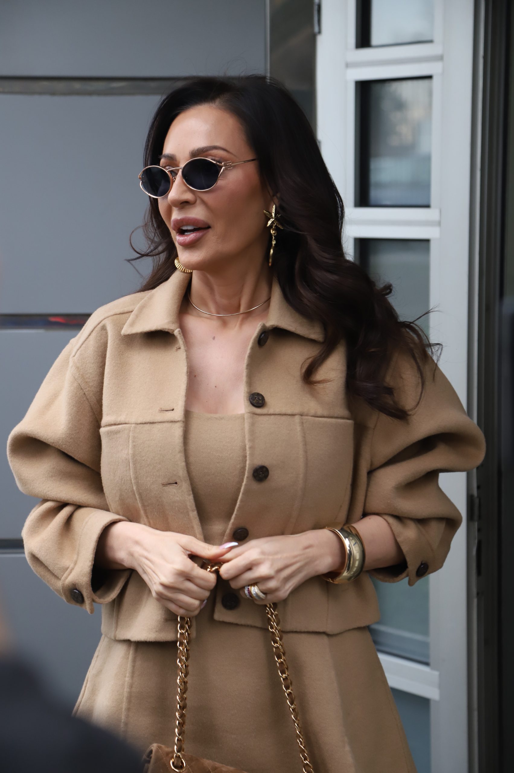 ceca raznatovic