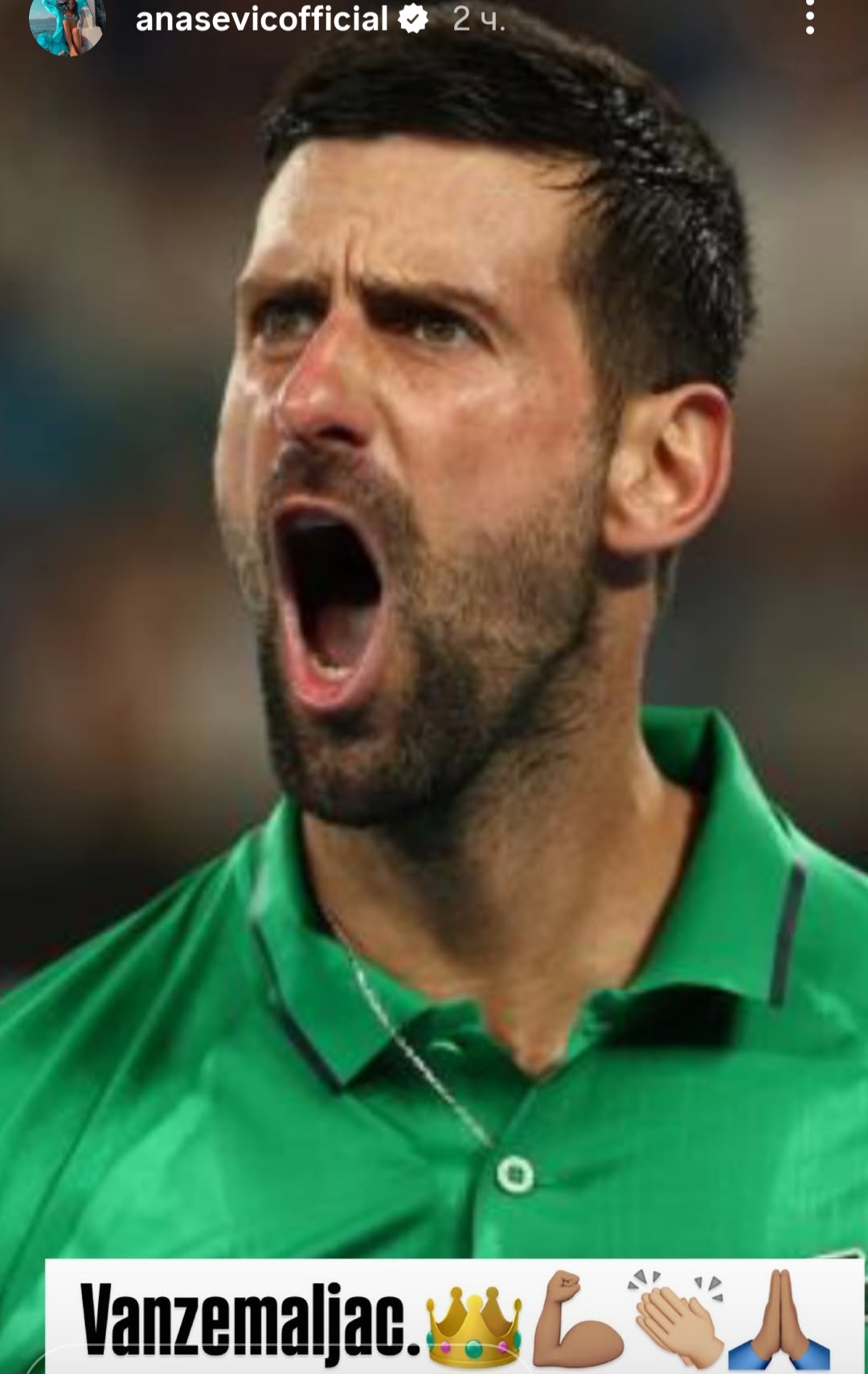 Novak cestitke 5