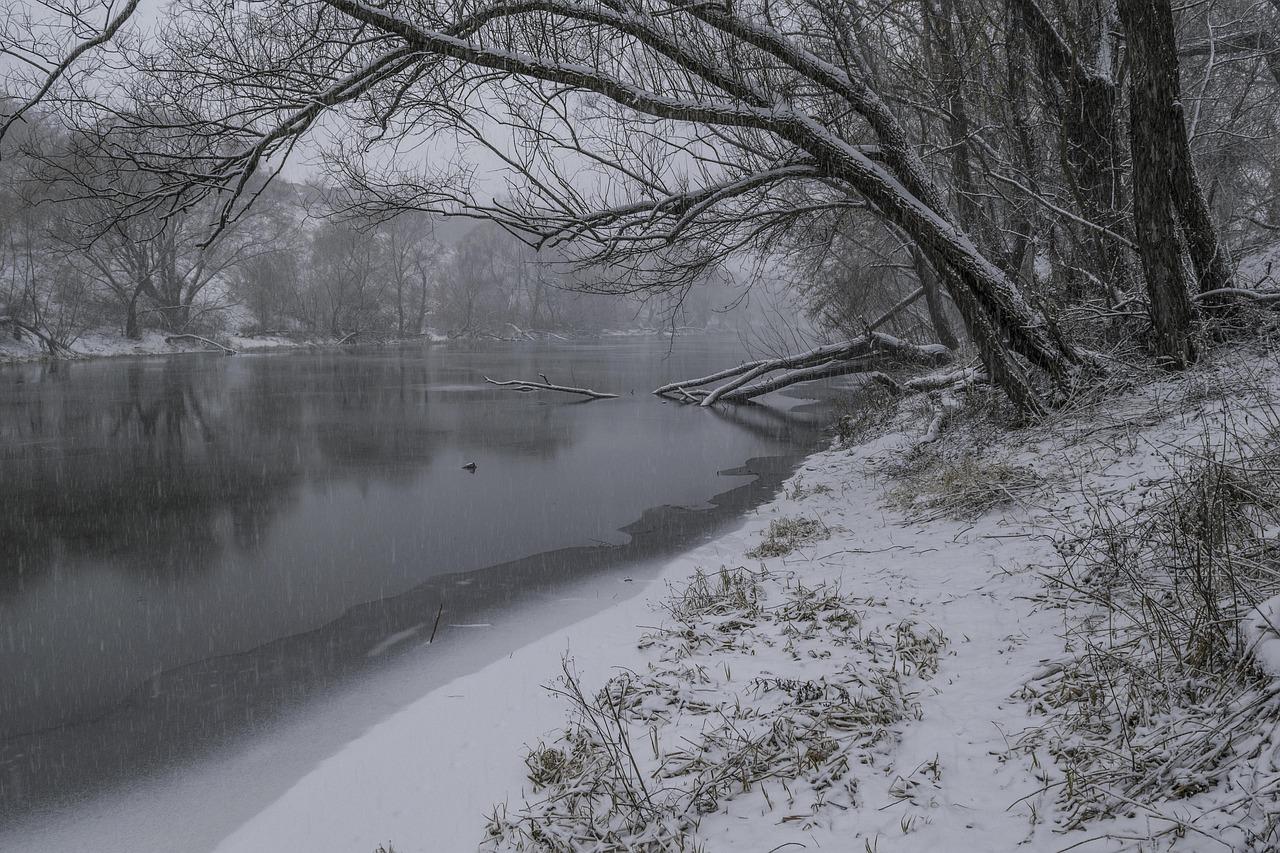 januar 2