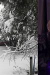 Pevačica danima zavejana, ne može da napusti kuću: "Ni medved ne može da nam priđe" 5 mala cana 1