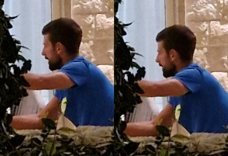 novak 768x525 1
