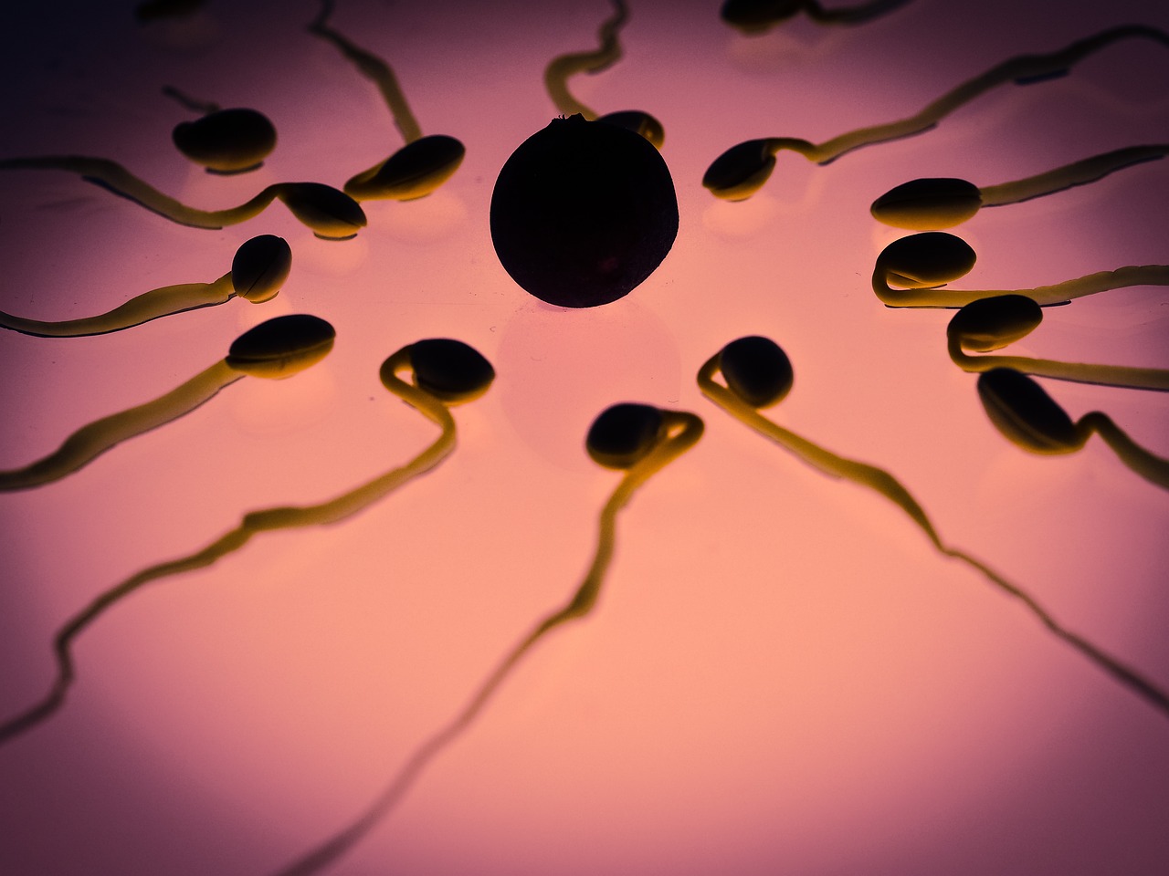 Sperma pamti sve: Kako očeva ishrana i stres utiču na zdravlje buduće dece 9 sperm 956482 1280