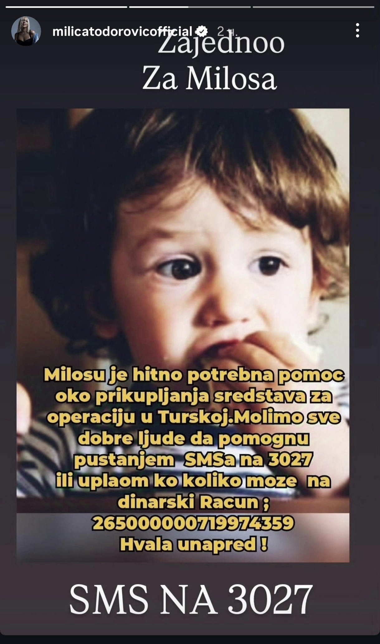 MILICA TODOROVIC INSTAGRAM