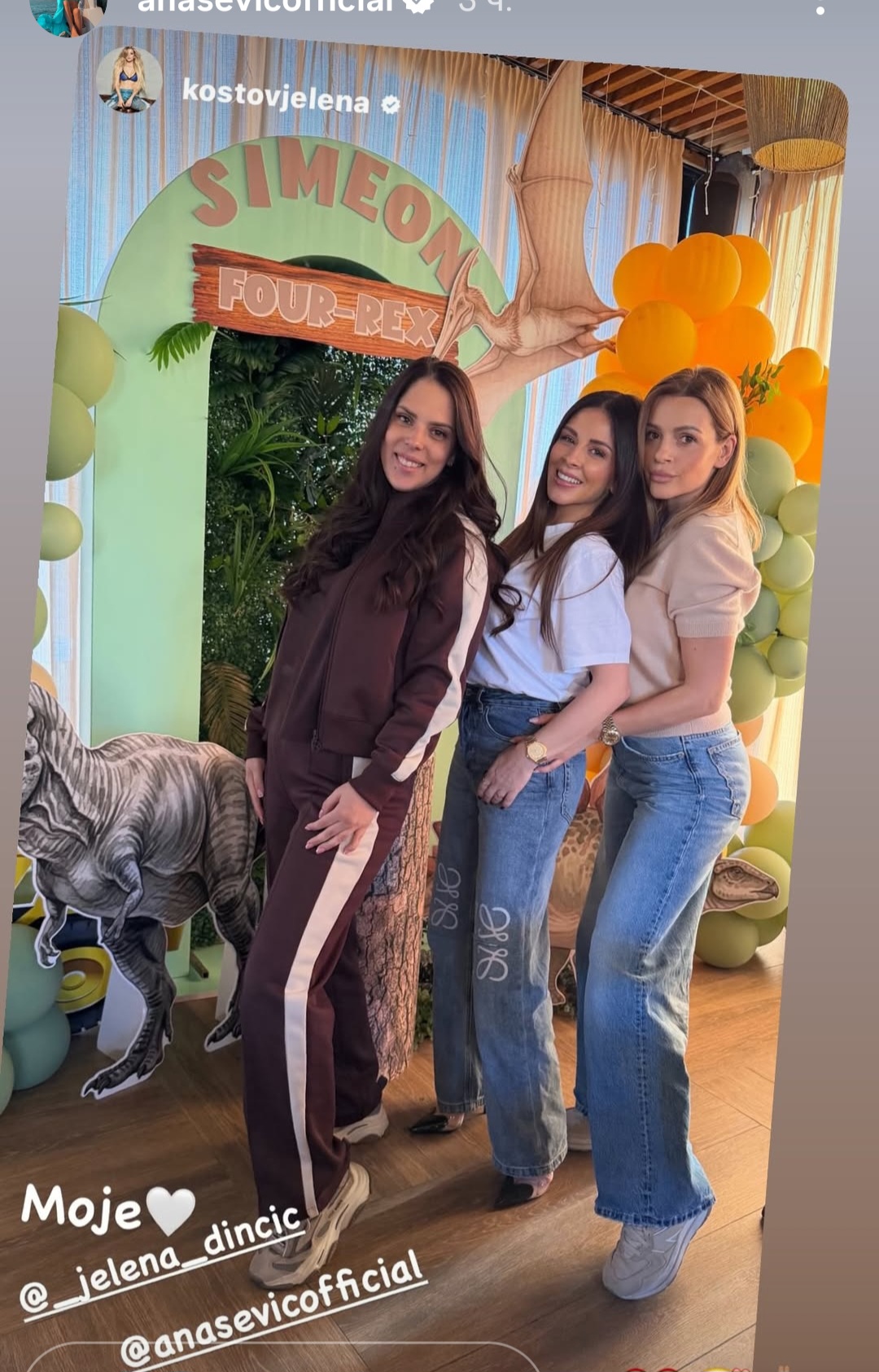 Ana Sevic rodjendan sinu 2