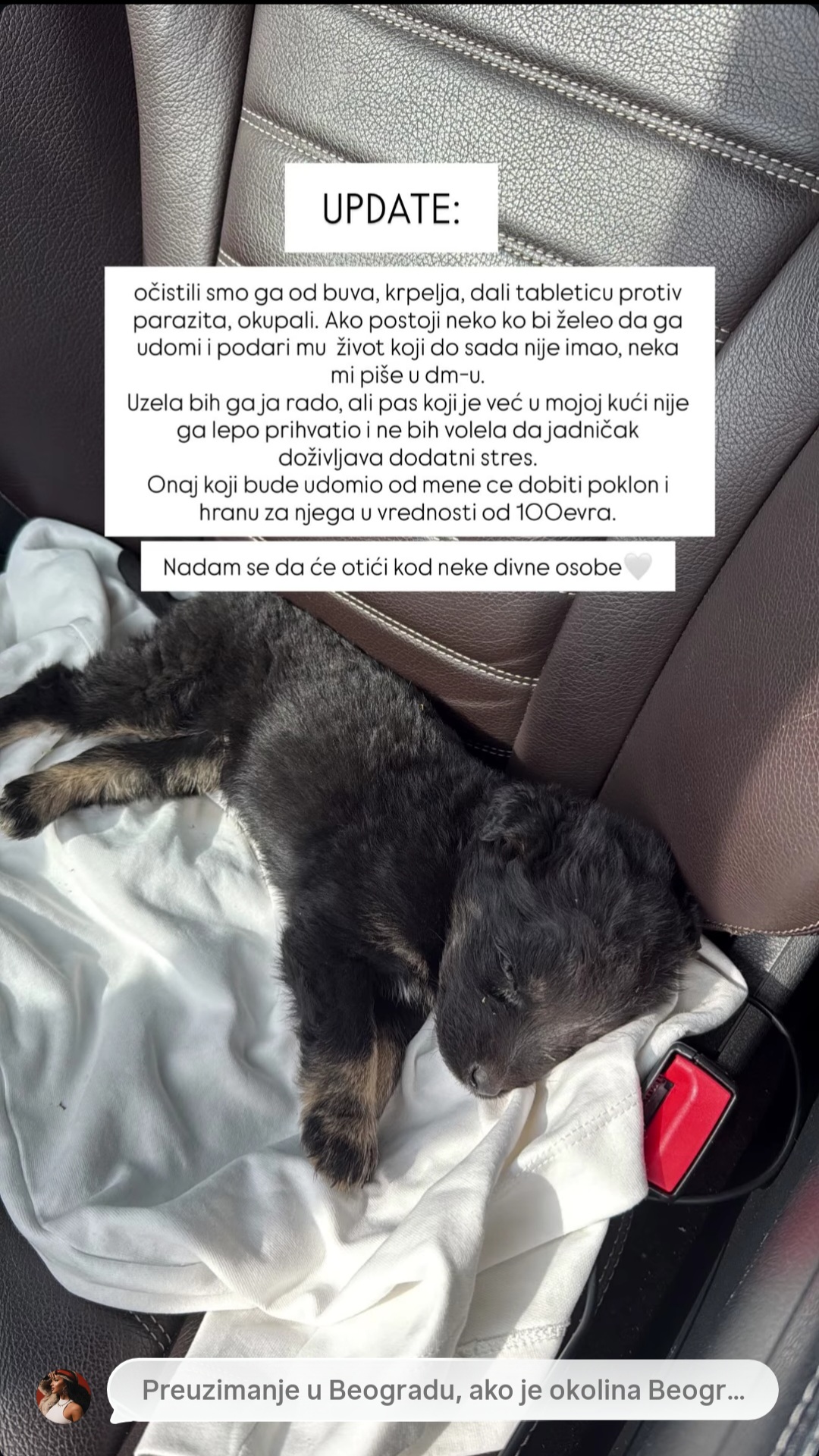 Pevačica pronašla štene pored kontejnera, sada nudi 100 evra onome ko ga udomi: "Dobiće i pokloin od mene" FOTO 6 Screenshot 20260318 130620 Instagram