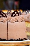 Ovo je savršena torta za Uskrs i košta manje od 300 dinara 4 congerdesign cream cake 560663