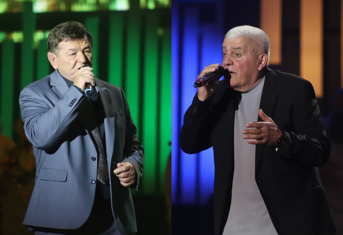 vlado i toplica