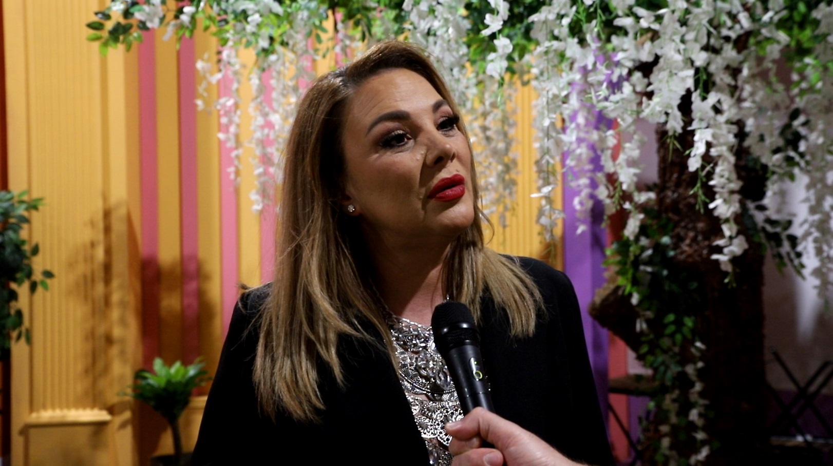 "Treba vam samo auto" Biljana Sečivanović poklanja letovanje, ovo je tačan datum aranžmana (VIDEO) 6 bilja seci