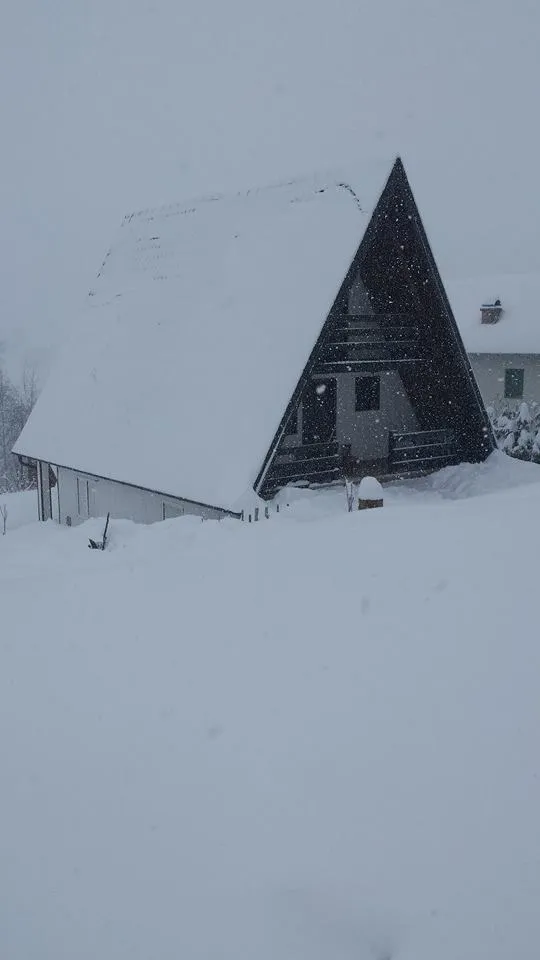 Nada Topčagić godinama ulagala milione u nekretnine: Pogedajte kako izgleda pevačicina luksuzna vikendica na Tari (FOTO) 8 image 8