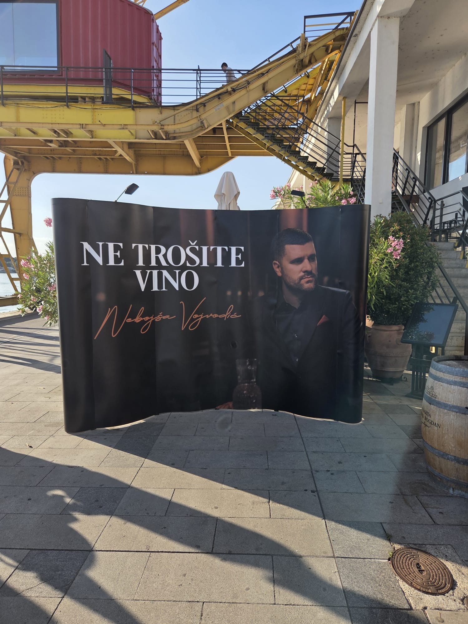 nesa vojvodic promocija foto a 2