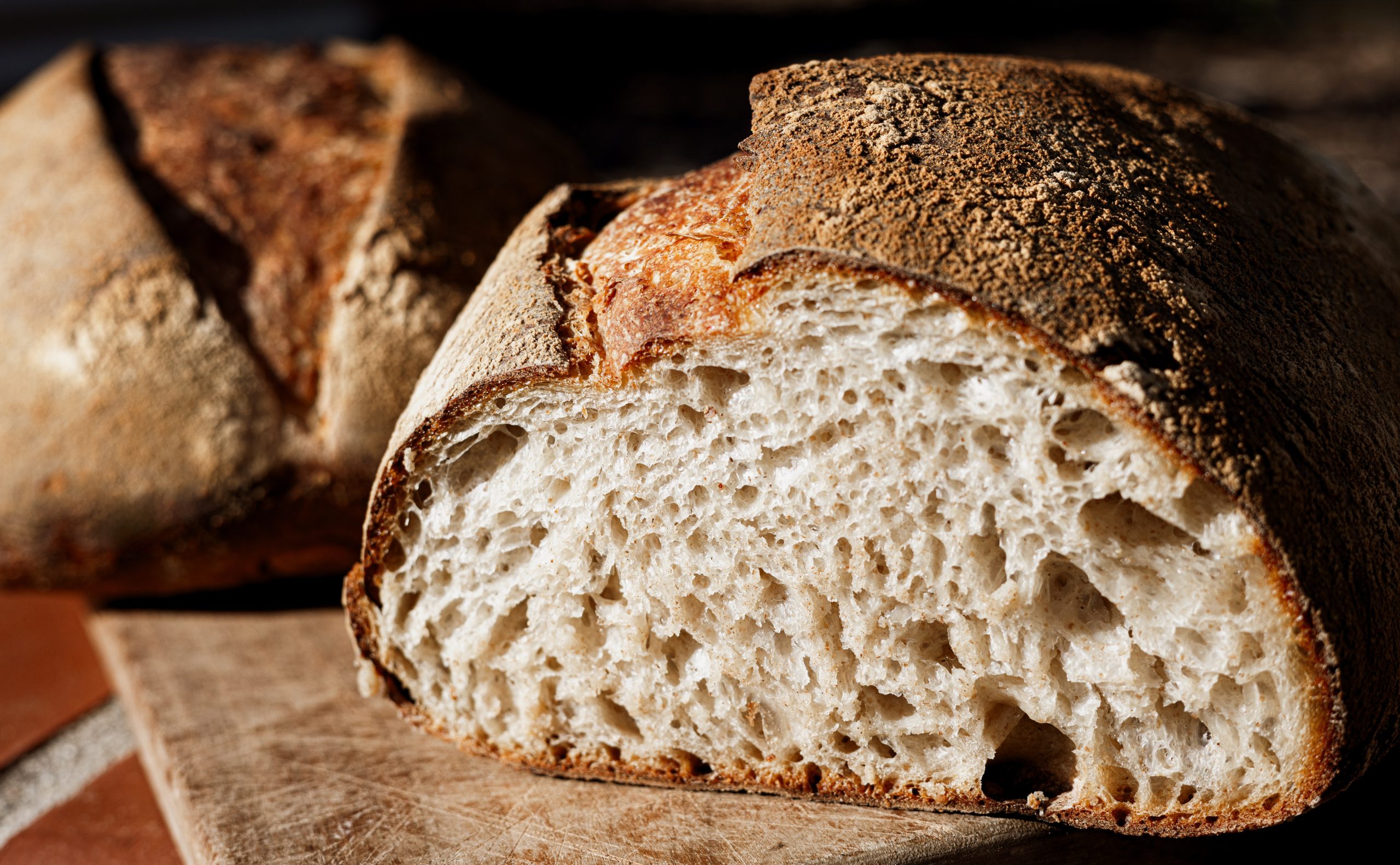 terski sourdough 9865309