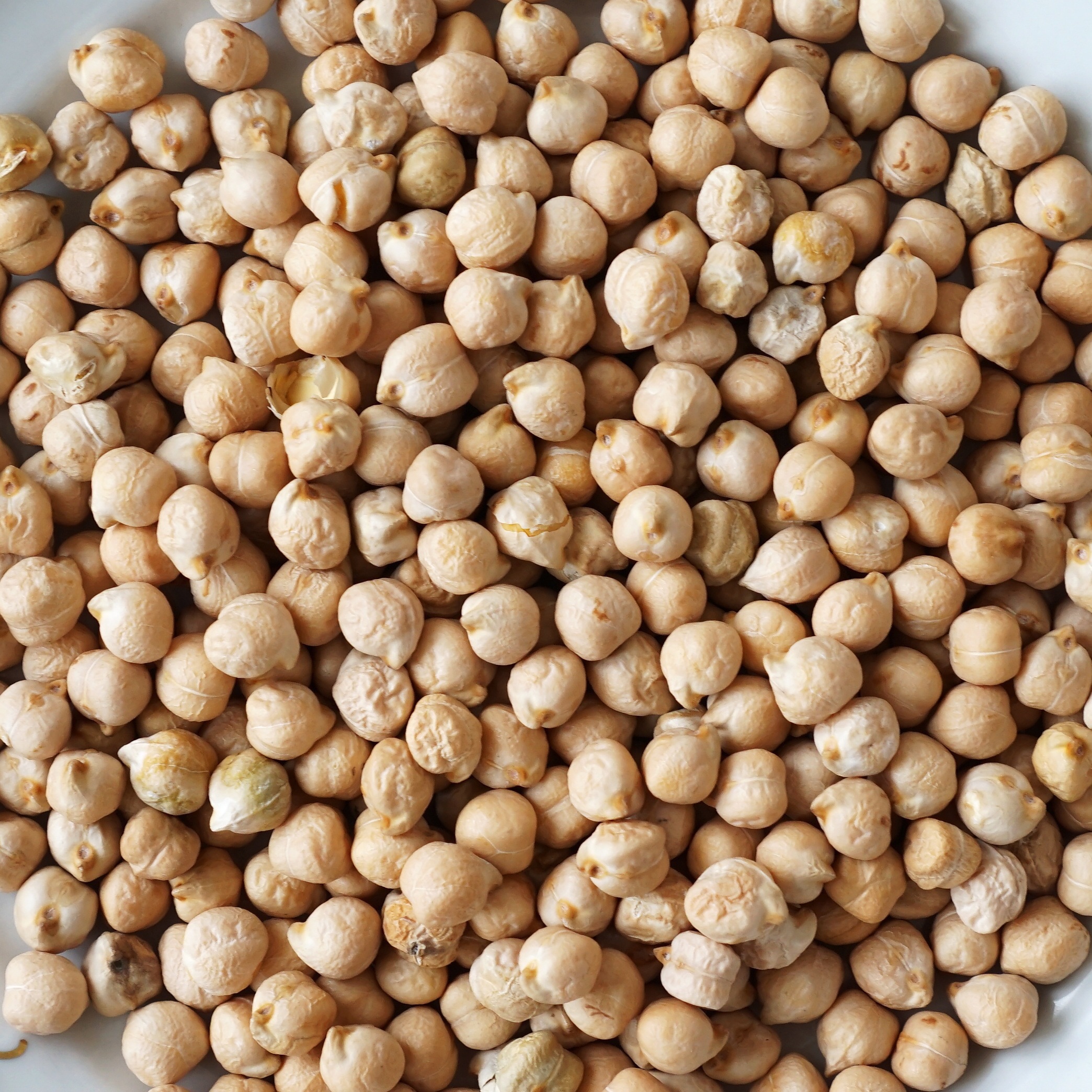 Ako volite da grickate pojedite šaku OVOGA pred spavanje: Mnogi zanemaruju ovu zdravu zamenu za čips 7 ka q chickpea 2240388