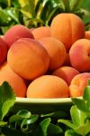 ritae peaches 1522680