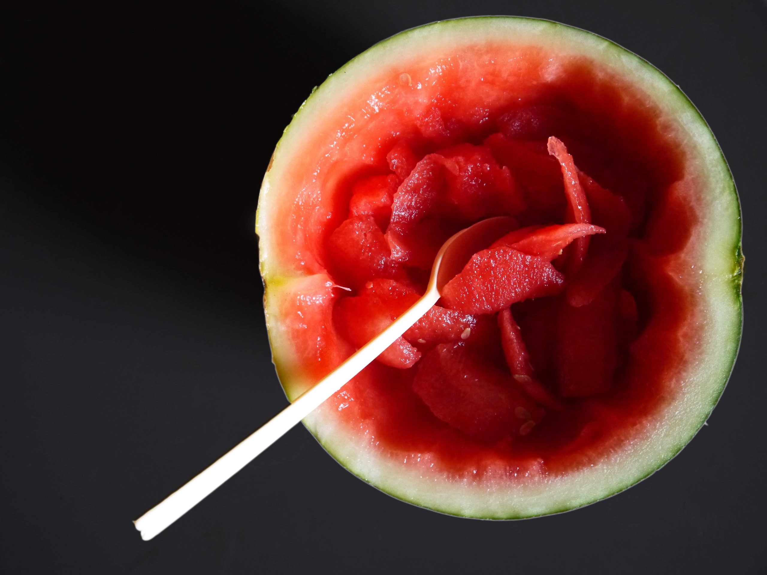 shu ers watermelon 491904