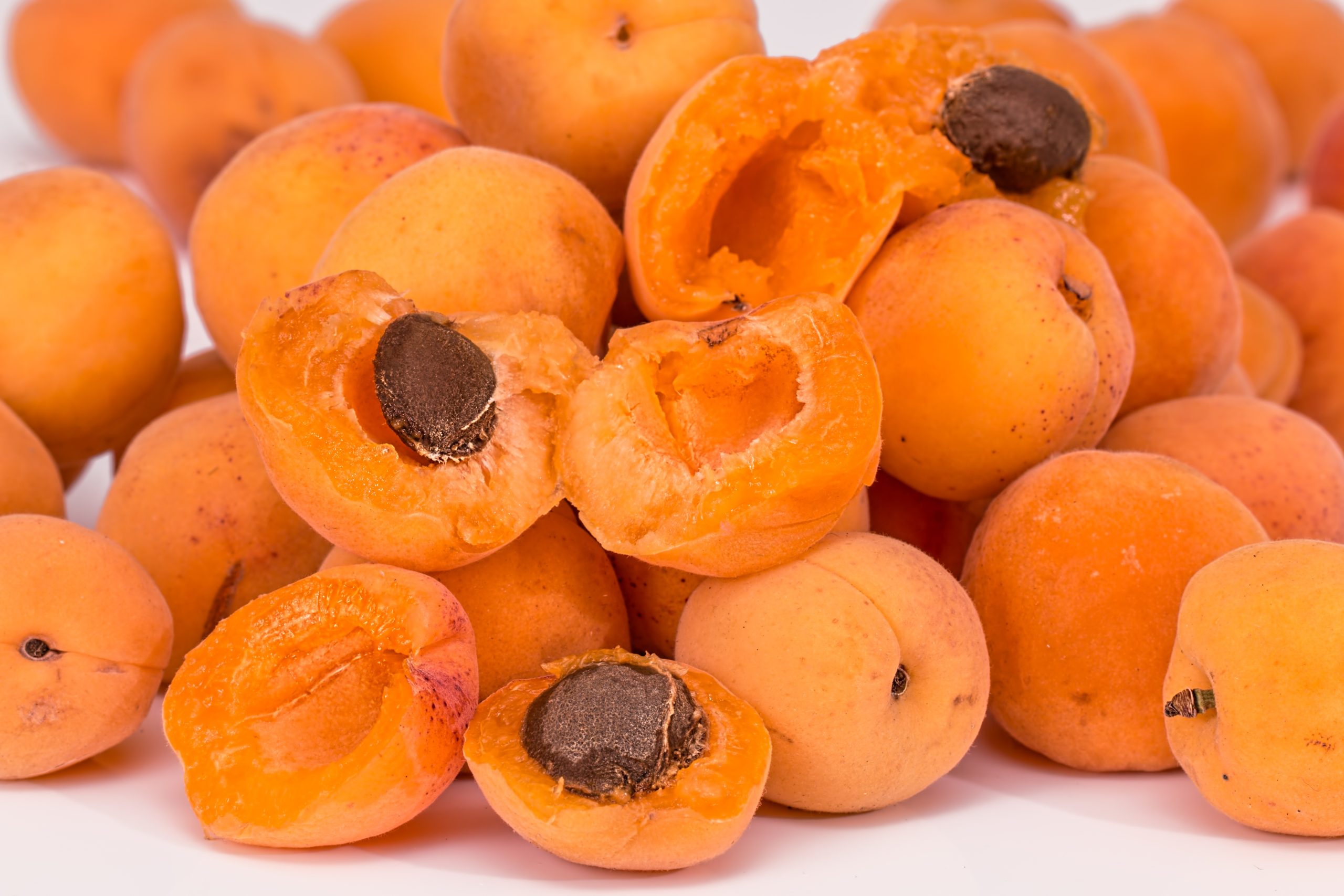 stevepb apricots 2994801