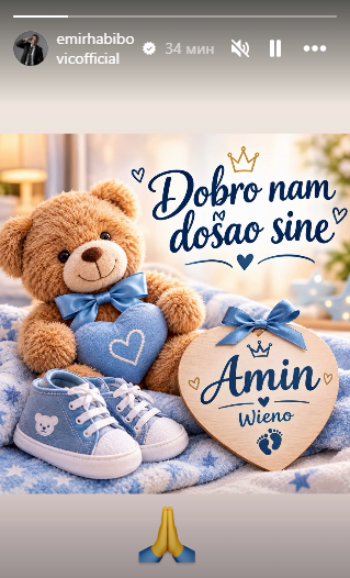 emir habibovic