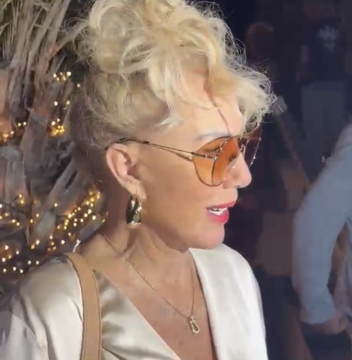 lepa brena