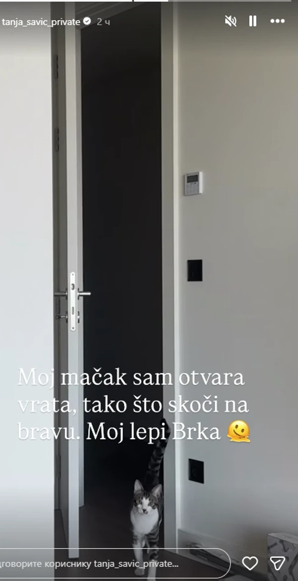 Tanja Savić pokazala luksuznu nekretninu u Beogradu: Živi sa Mukijem i sinovima u stanu koji oduzima dah (FOTO) 10 image 81