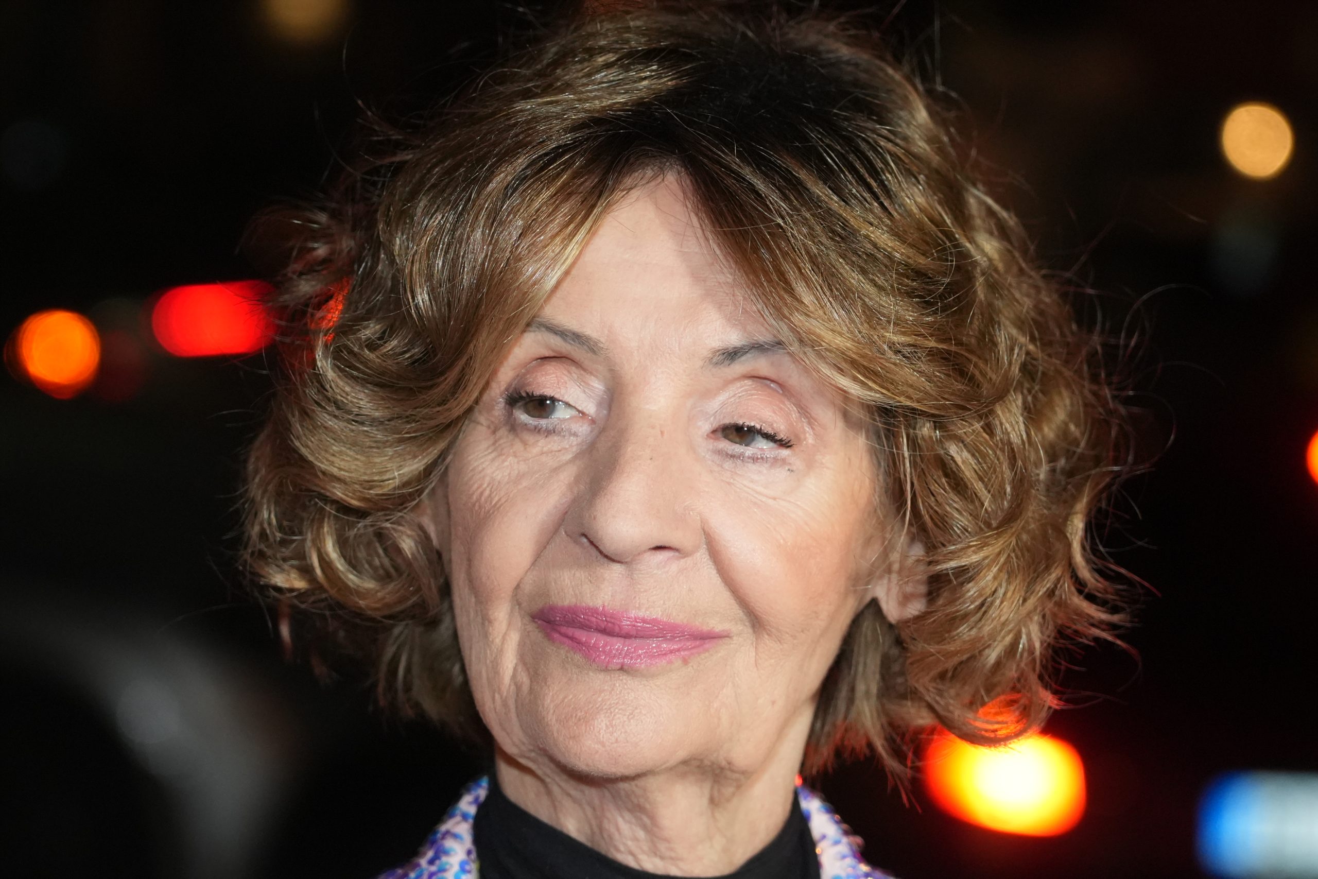 lepa lukić o silvani armenulić